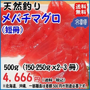 天然 ( メバチマグロ ) 150~250g×2~3冊＝450~500g 冷凍 料亭 寿司屋 ご用達 真空パック 送料無料 宇和海の幸問屋