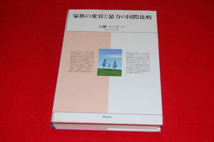 家族の変容と暴力の国際比較　