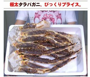 【送料無料】令和６年 特太５Lサイズ 生タラバ蟹 ３ｋｇ（約２～３肩） 【たらば タラバガニ かに カニ 蟹 】u