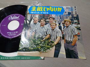 ビーチ・ボーイズ/素敵じゃないか,神のみぞ知る(JAPAN/Capitol:CR-1579 MONO 45RPM NM! 7 EP/THE BEACH BOYS,WOULDN