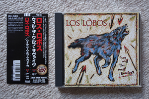 Los Lobos / How Will The Wolf Survive? 国内盤 帯付き ロス・ロボス 80