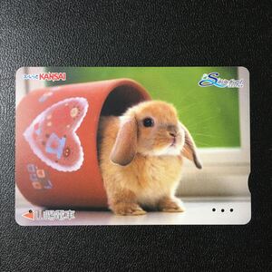 山陽/動物「ロップイヤーラビット」2ーエスコートカード(使用済/スルッとKANSAI)