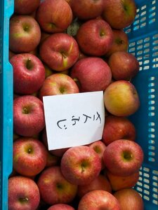 【数量限定】サンふじ 訳あり3kg 青森県産 りんご 加工用 林檎【6012】