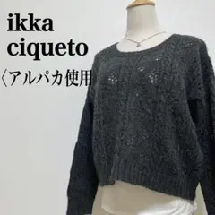 CIQUETO【イッカ】アルパカ使用ケーブル編み ボートネック ショート丈ニット