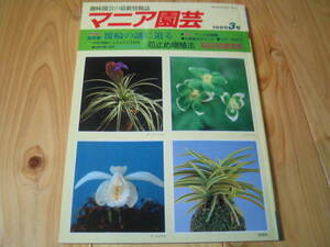 マニア園芸 1989　富貴蘭 覆輪の謎に迫る　錦蘭 芯止め増殖法