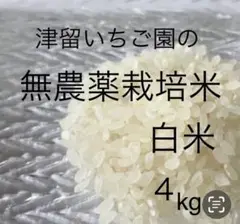 お米ヒノヒカリ無農薬米４kg福岡県筑後市産