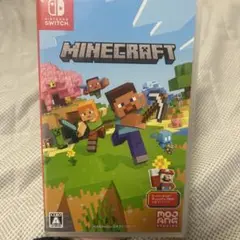 Minecraft Nintendo Switch版