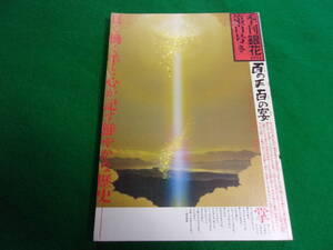 【季刊銀花 第１００号】１９９４年冬/大野隆司/うさぎ百羽・仏陀伝/百号記念木版画一葉挿入/ きのこ料理で死去 他