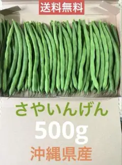 ☆新鮮☆いんげん☆500g☆沖縄県産☆ネコポス☆