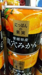 にっぽんの果実「真穴みかん」1缶598円即決