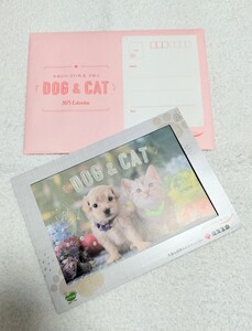 【送料無料】2025年 住友生命卓上カレンダー（DOG & CAT・かわいい 子いぬ & 子ねこ）