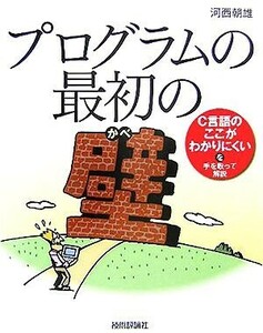 プログラムの最初の壁/河西朝雄(著者)