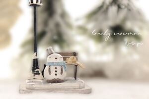 *North pole* 『不思議な雪だるまの小人さん』ちいさな世界 3.5cm miniaturedoll ミニチュアドール 手作り人形 創作 ファンタジー セット