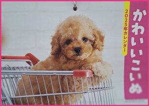 【1冊：大きい カレンダー:可愛い「子犬」:B3:52x36㎝：送料無料】★2025：犬・イヌ・いぬ：大きな サイズ:見開き★こよみ 暦：No3