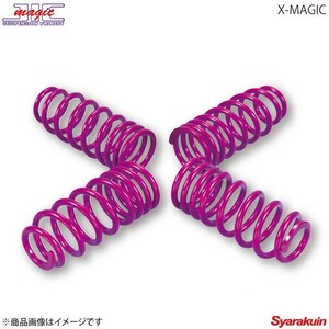 JIC/ジェイ・アイ・シー ダウンサス 1台分 X-MAGIC ダウンサス エルグランド APE50