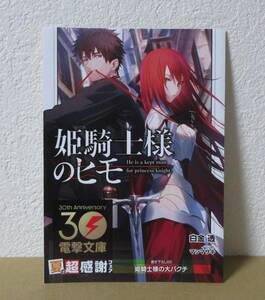 電撃文庫　３０周年　夏の超感謝フェア　2023　姫騎士様のヒモ　リーフレット　特典　小冊子　ブックレット　30ｔｈ　書き下ろしSS