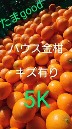 ハウス金柑　☆たまgood☆　傷有り5k