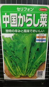 ３袋セット 中国 からし菜 カラシナ セリフォン ツケナ 種 郵便は送料無料