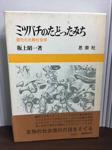 書籍　ミツバチのたどったみち　坂上昭一 著　G22405