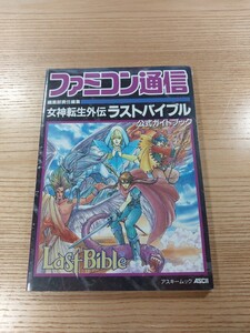 【E2955】送料無料 書籍 女神転生外伝 ラストバイブル 公式ガイドブック ( GB 攻略本 Last Bible B6 空と鈴 )