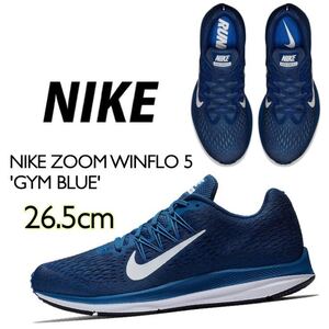 NIKE ZOOM WINFLO 5 