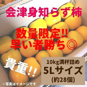 【値下げ!!】会津身知らず柿　みしらず柿　柿　5Lサイズ10キロ満杯詰め