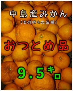 os中島郵便局より発送！！ 愛媛県中島産みかんおつとめ品9㎏+保証量500㌘①