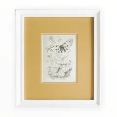 Goody Grams Add｜VINTAGE FRAME（WHITE）｜輸入フォトフレーム・写真立て｜おしゃれ｜結婚式