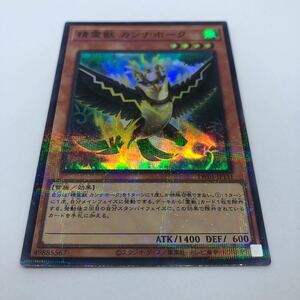 遊戯王 OCG TERMINAL WORLD TW01-JP131 P-SR 精霊獣 カンナホーク