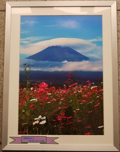 都・写真愛好家の作品（富士山）。平成２０年１０月１１日撮影。忍野村より。アルミ額・アクリル。