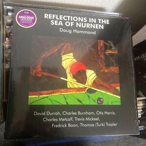 Doug Hammond - Reflections In The Sea Of Nurnen / Audiophile高音質プレス