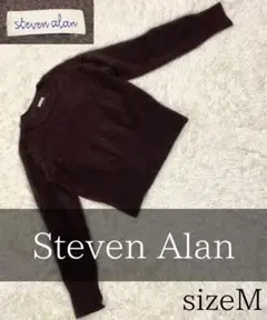 美品 Steven Alan 毛 ハミルトンラムズ ウールモックネック ニット