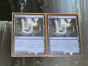 MTG 清水の小道/泥水の小道 日 1枚迄