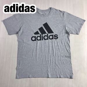 adidas アディダス プリントTシャツ L ライトグレー 霜降り ビッグロゴ