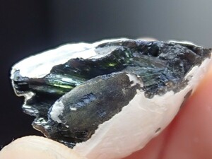 【貝化石中に結晶】ヴィヴィアナイトonシェルフォッシル　藍鉄鉱on貝化石　原石　標本