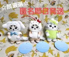 mofusand×サンリオキャラクターズ マスコット シナモン&キティ&ケロッピ