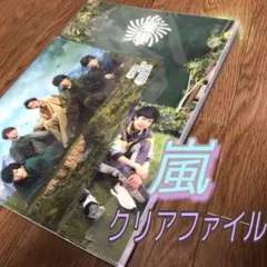 嵐 クリアファイル ツアーグッズ コンサートグッズ