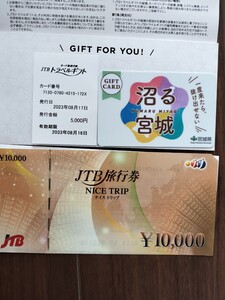 JTB ナイストリップ JTB旅行券　JTBトラベルギフト　15000円分