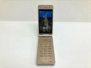 ☆docomo ドコモ P-01H Panasonic ガラケー ケータイ 通電 動作確認 初期化済 ネットワーク利用制限判定〇