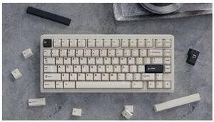 WS PBT Creamy Charcoal　キーボード