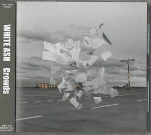 帯付CD★WHITE ASH／Crowds