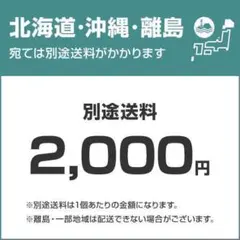 さおり様　1100専属送料ページ