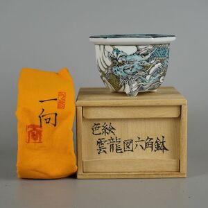 盆栽鉢 九谷 一向 小鉢 長辺 約9.3cm 六角鉢 色絵 雲龍図 共箱 共布 観賞用 現品 新品