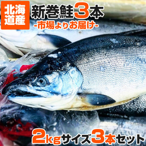 計6kg 鮭 姿 2kg×3尾 送料0円 新巻鮭 中辛 塩漬け 塩鮭 塩引き鮭 荒巻鮭 秋鮭 サケ さけ しょっぱい鮭 御歳暮 お歳暮 正月 年末年始