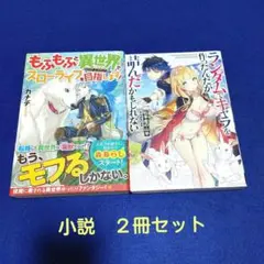 「もふもふと異世界でスローライフを目指します!」他　小説　２冊セット