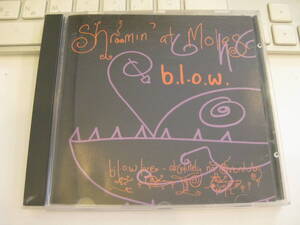 ●●B.L.O.W.「Shroomin