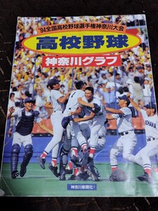 高校野球 神奈川グラフ 甲子園 1994 横浜高校 日大藤沢 斉藤 紀田 田村 矢野 甲子園