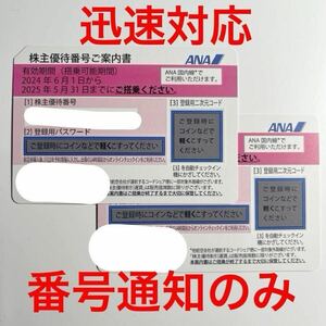 迅速対応 匿名対応★ANA 全日空 株主優待券2枚●2025年5月31日まで有効●発券用コード通知のみの対応