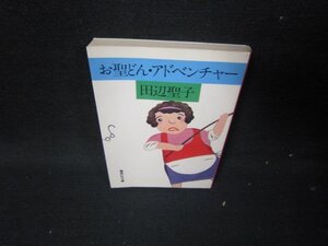 お聖どん・アドベンチャー　田辺聖子　集英社文庫　日焼け強/ICB