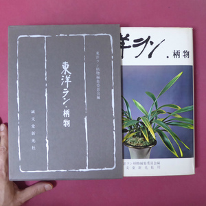 i6/東洋ラン柄物編集委員会編【東洋ラン・柄物/誠文堂新光社】東洋ラン鑑賞入門/品種解説編/栽培編/座談会:東洋ラン商法・あれこれ @3